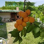 Διαμέρισμα Kraja