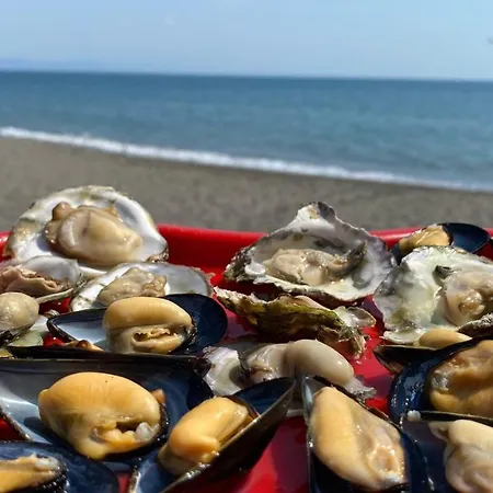 Apartmán Kraja Velipojë