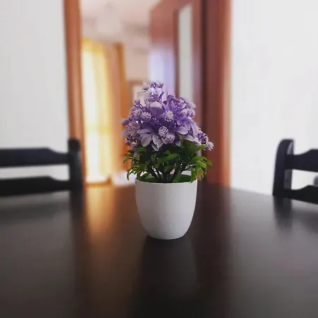 Kraja Apartmán Velipojë