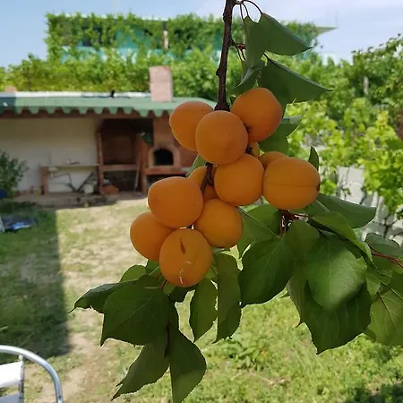 Apartmán Kraja