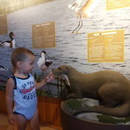 Apartment Kraja Velipojë