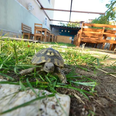Apartman Kraja
