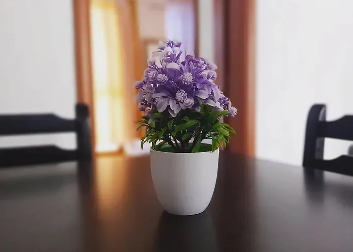 Kraja Appartement Velipojë
