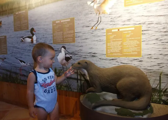 Appartement Kraja Velipojë